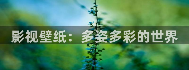 青苹果影院yy6090在线观看