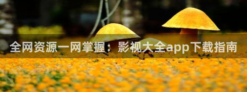 yy6090青苹果影院在线观看